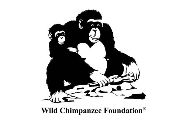 Wild Chimpanzee Foundation – africanprimatesociety.org